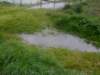 floods10_small.jpg
