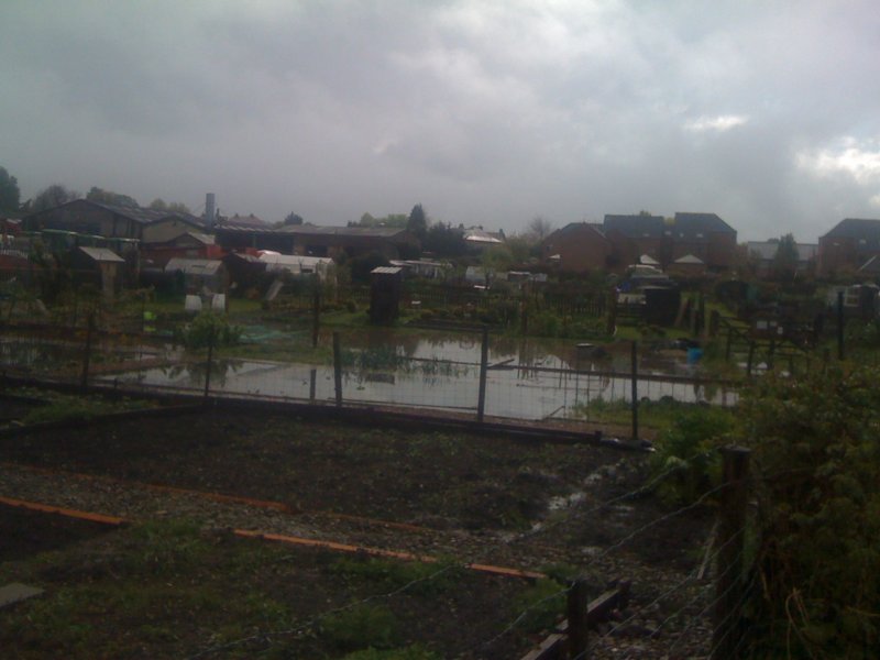 floods12.jpg