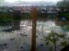 floods15_small.jpg