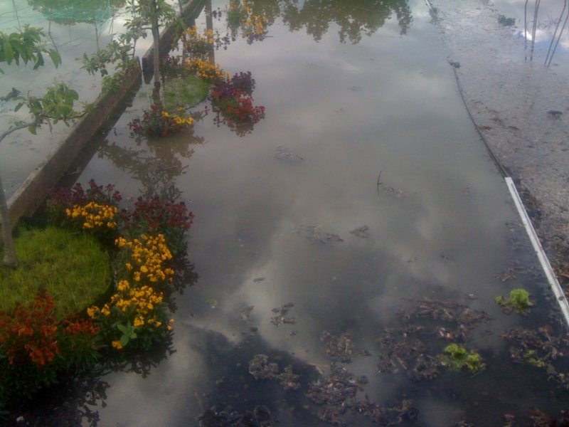 floods16.jpg