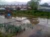floods17_small.jpg