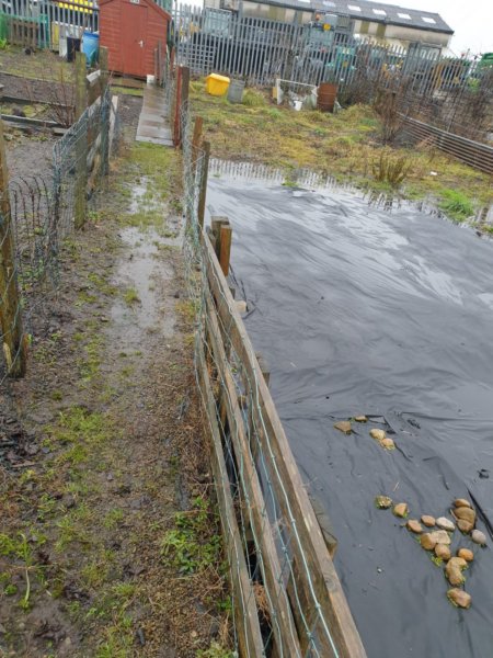 floods39.jpg