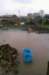 floods3_small.jpg
