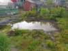 floods40_small.jpg