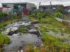floods41_small.jpg