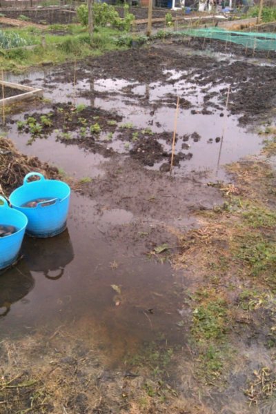 floods6.jpg