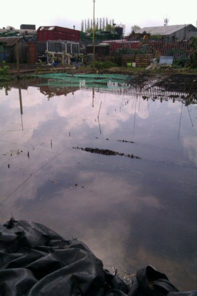floods7.jpg