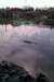 floods7_small.jpg