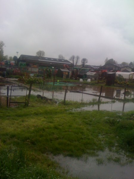 floods8.jpg