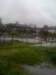 floods8_small.jpg